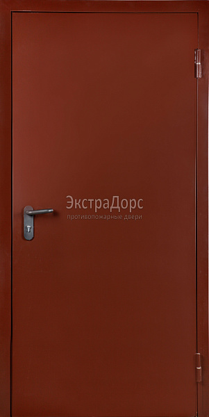 Противопожарная дверь EI 45 дымогазонепроницаемая металлическая однопольная в Истре  купить