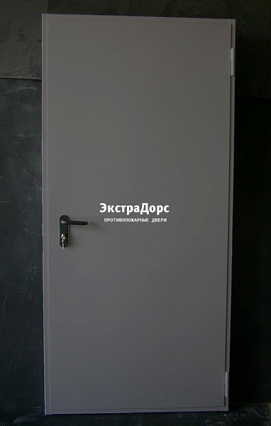Дверь металлическая противопожарная EI 60 ДПМ 2 типа серая в Истре  купить